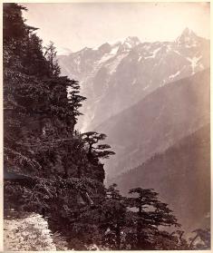 Bourne1506bBitatRogi