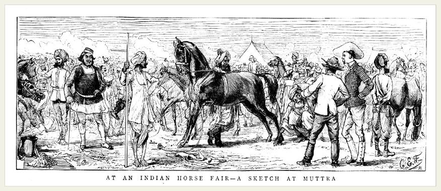 IndianHorseFair