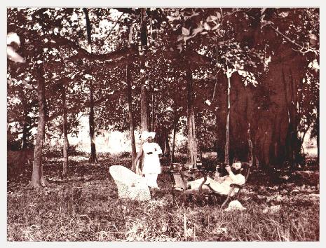 Junglebookreadercopy